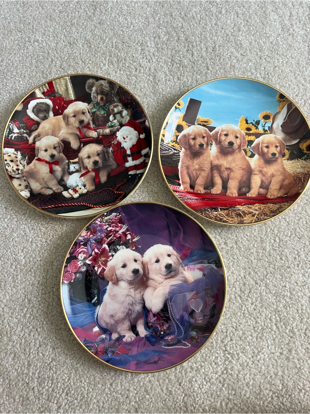 Royal Doulton Decorative Puppy Collector Plate Trio - Cream, Blue, Purple